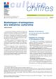 Statistiques d’entreprises des industries culturelles