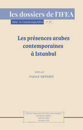 Les présences arabes contemporaines à Istanbul : croisement d’aires