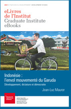 Indonésie : l'envol mouvementé du Garuda