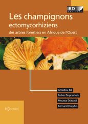 Les champignons ectomycorhiziens des arbres forestiers en Afrique de l’Ouest