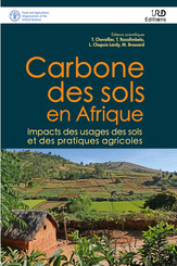 Carbone des sols en Afrique