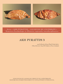 Mission archéologique française de tell Hariri-Mari : rapport préliminaire à l’issue de la 43e campagne (septembre-octobre 2006)