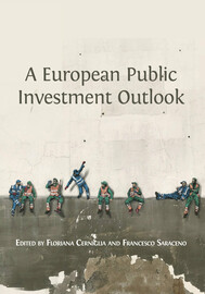 4. Public Investment Trends across Levels of Government in Italy