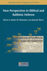 New Perspectives in Biblical and Rabbinic Hebrew