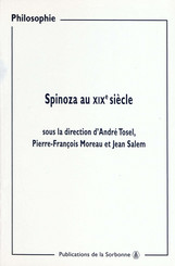 Spinoza au XIXe siècle