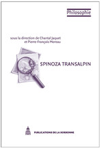 Spinoza à l’œuvre