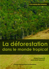 La déforestation dans le monde tropical