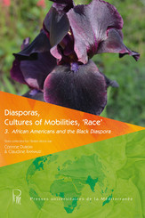 Diasporas, Cultures of Mobilities, ‘Race’ 3