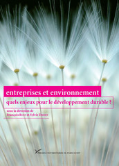 Entreprises et environnement : quels enjeux pour le développement durable ?
